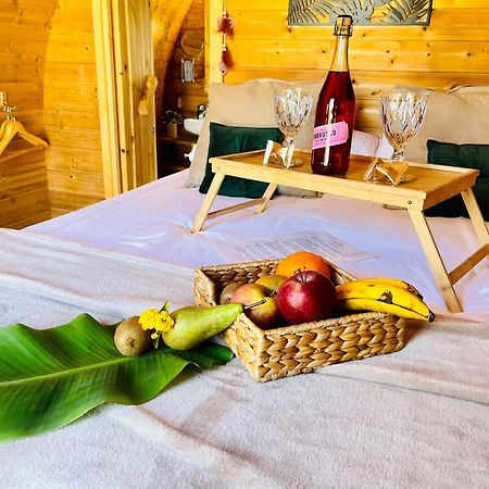 Hotel Privado Serendipia Natural Club Exclusive Buzanada Zewnętrze zdjęcie